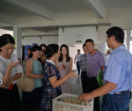 中國高新技術產業(yè)經濟研究院來新化考察調研
