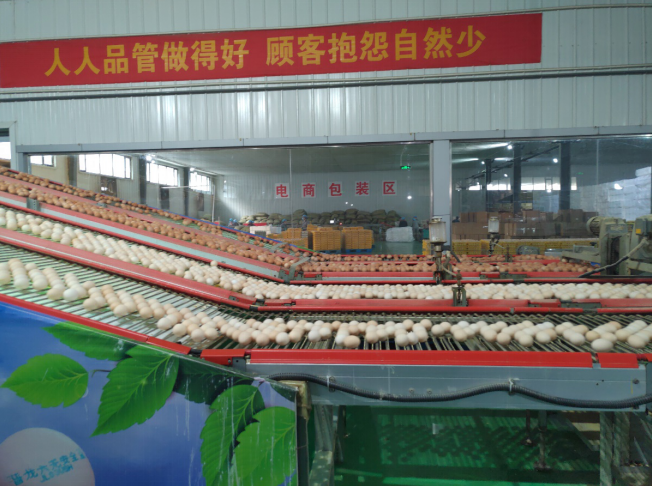 后稷故里，板棗之鄉(xiāng)——山西省稷山縣大力爭(zhēng)創(chuàng)國(guó)家現(xiàn)代農(nóng)業(yè)產(chǎn)業(yè)園