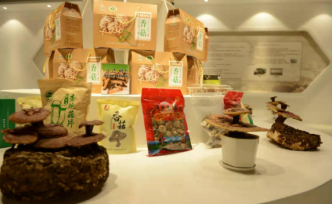 依托蘋果和香菇兩大特色優(yōu)勢產(chǎn)業(yè)，萬榮縣積極申創(chuàng)國家農(nóng)業(yè)現(xiàn)代化示范區(qū)