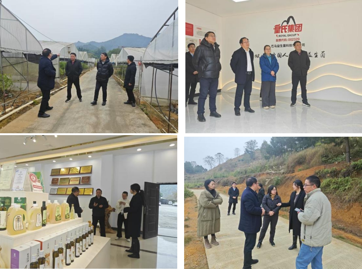 長壽之鄉(xiāng)，逐路之行——高新院專家組一行赴廣西巴馬瑤族自治縣開展河池農高區(qū)創(chuàng)建調研